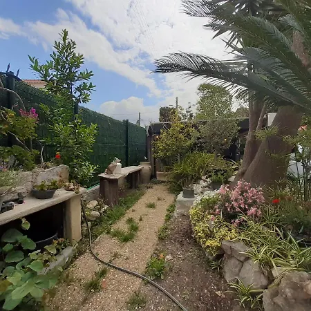 Breguieres كانيو سور مير